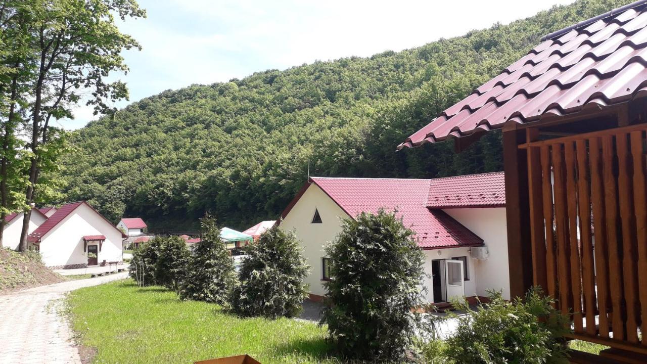 Mishyn-City Hotel Dobrovlyany Extérieur photo